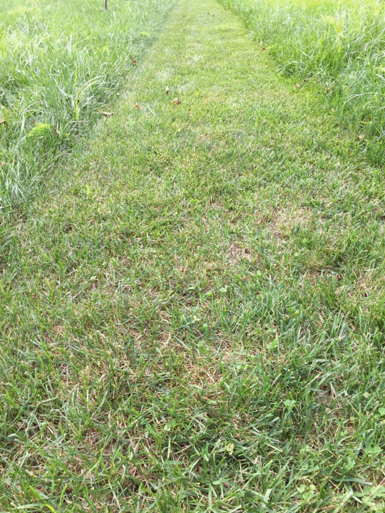 path