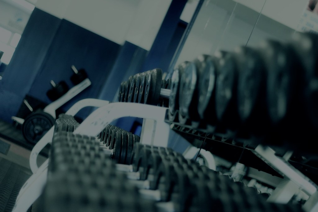 Rack of dumbbells at the gym