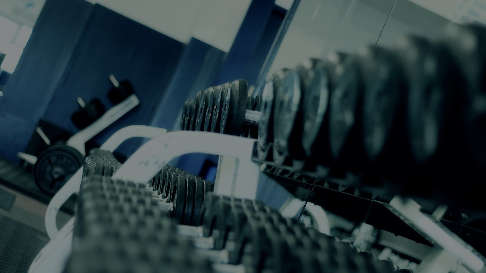Rack of dumbbells at the gym