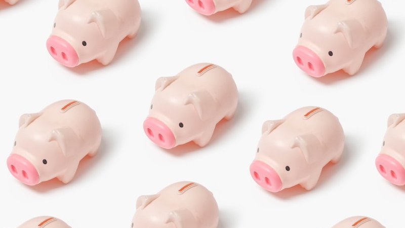 a group of small pink pigs sitting next to each other