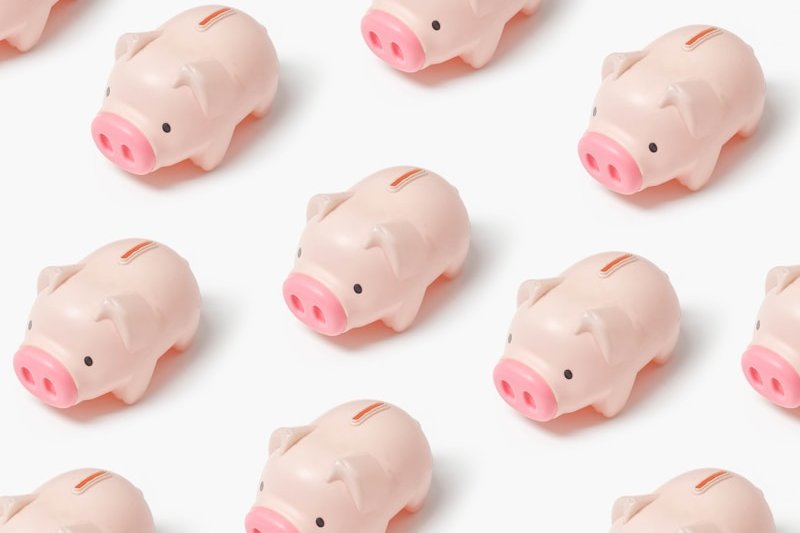 a group of small pink pigs sitting next to each other
