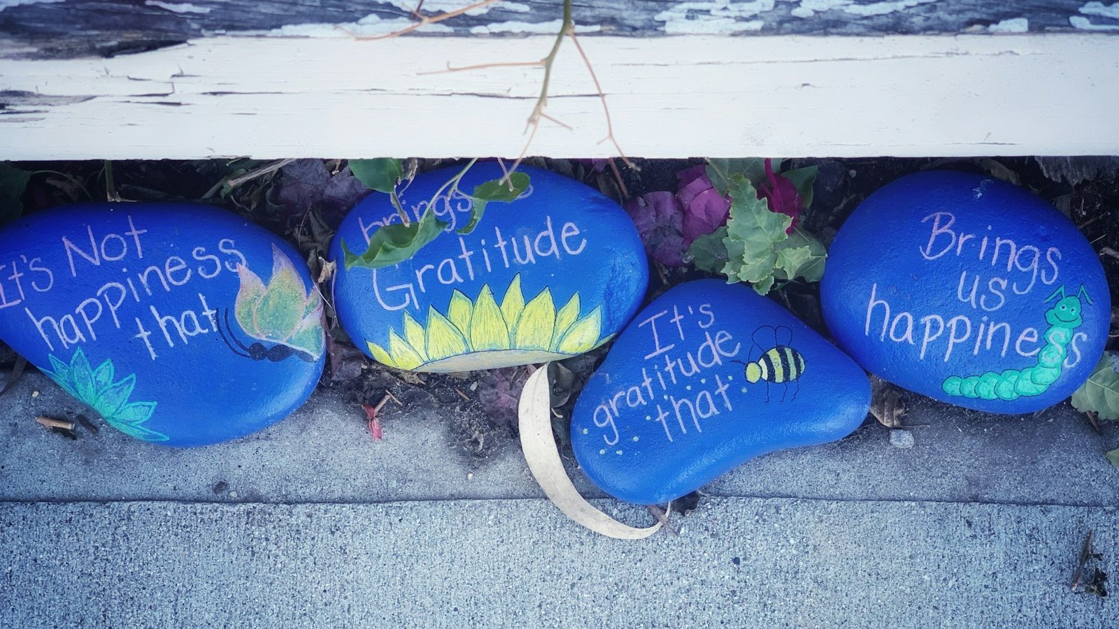 three painted rocks with words written on them