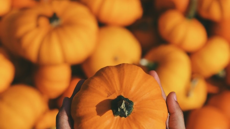 shallow focus photography of person holding squash