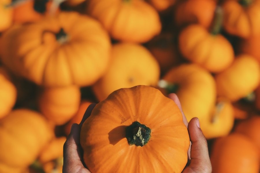 shallow focus photography of person holding squash
