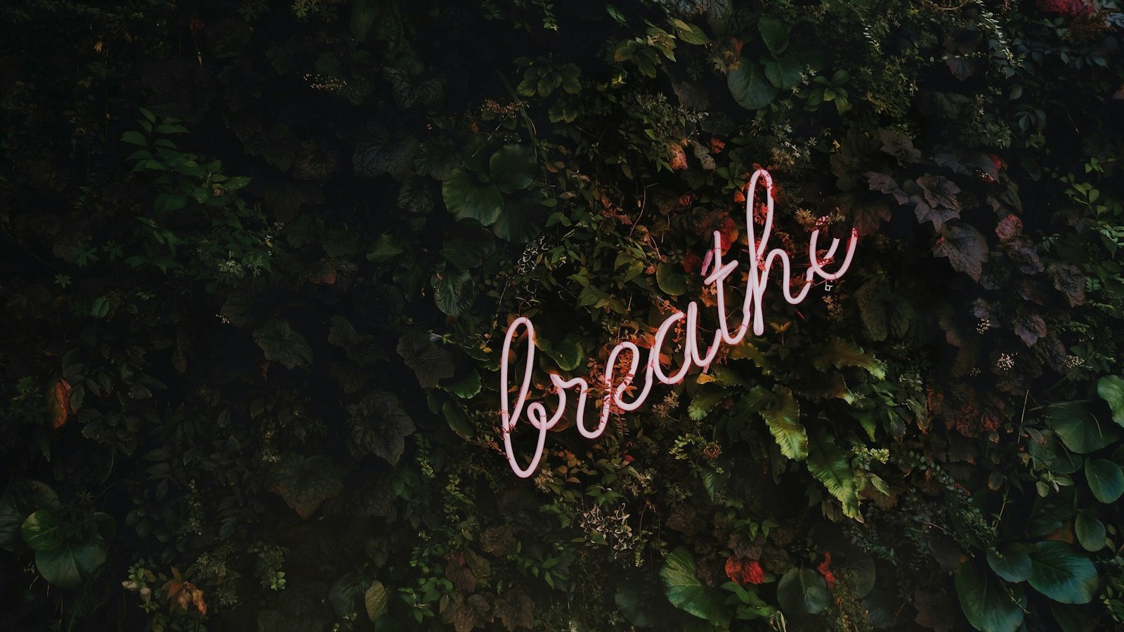 Breathe neon signage
