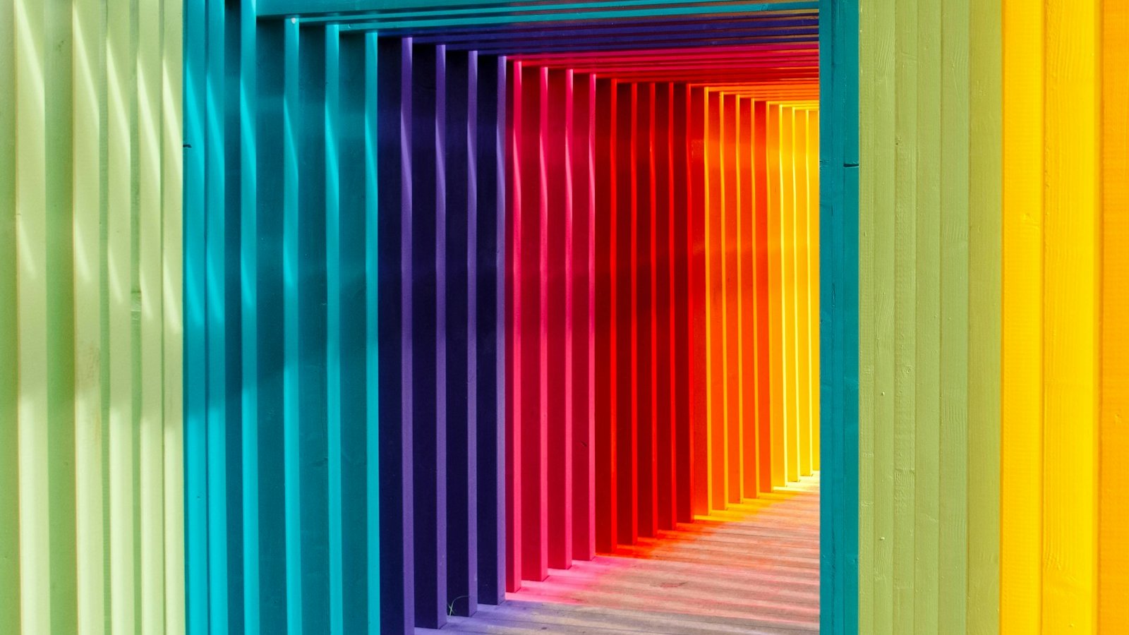 multicolored wall in shallow focus photography